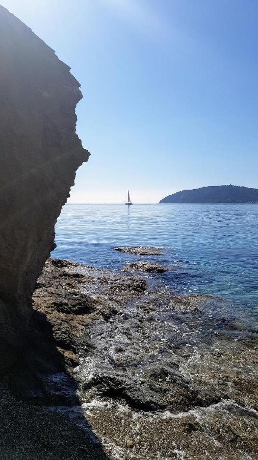 Apartment 30 M2 500m Plages Mourillon 3 Personnes *